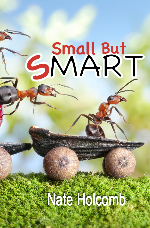 Small But Smart " How To Always Be Effective"