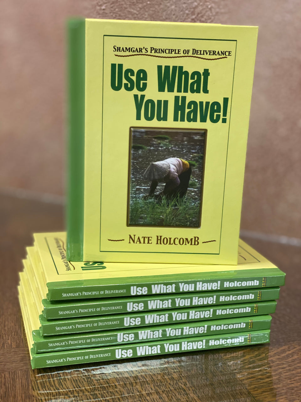 SHAMGAR's PRINCIPLE OF DELIVERANCE "Use What You Have!"