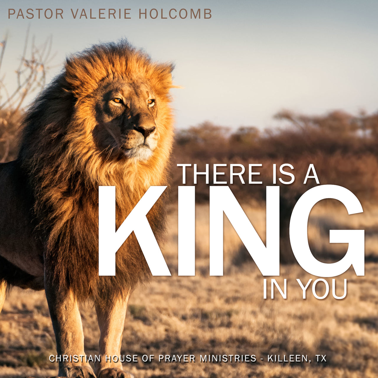 There's A King In You
